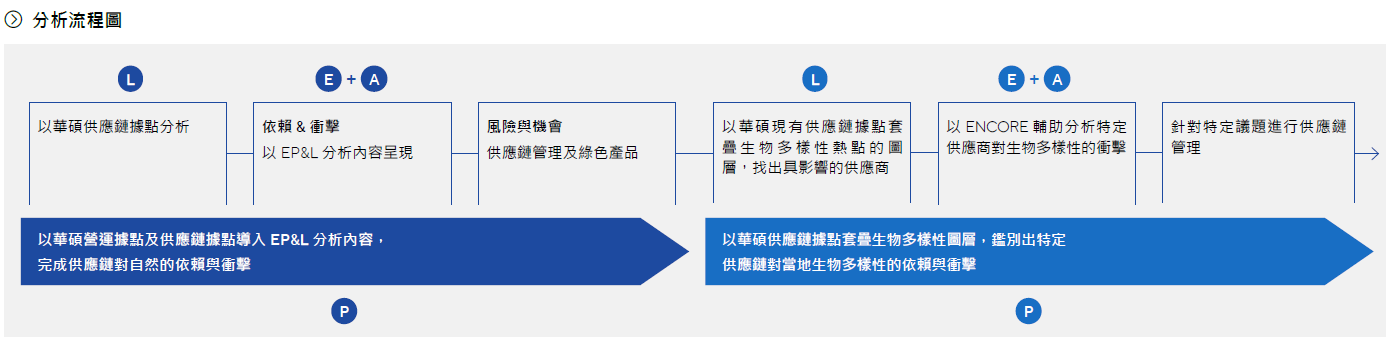 兩階段LEAP分析的示意圖