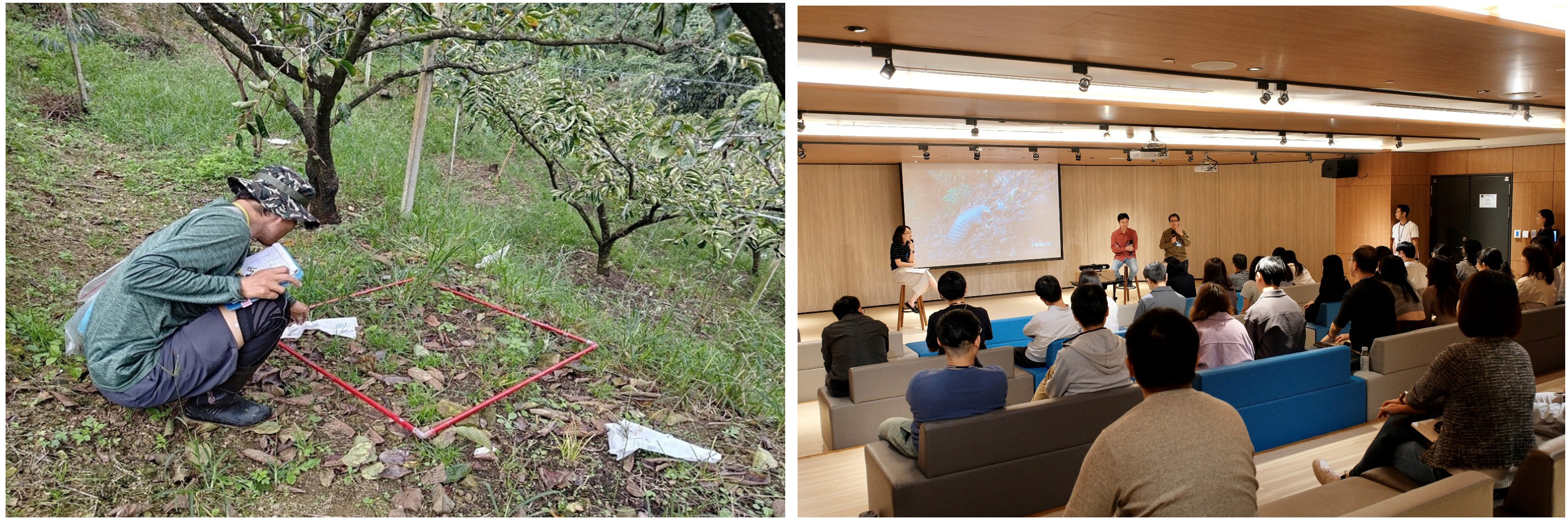 回應氣候變遷的現代住宅 蝦董ㄟ躼腳厝-高腳屋示範民居