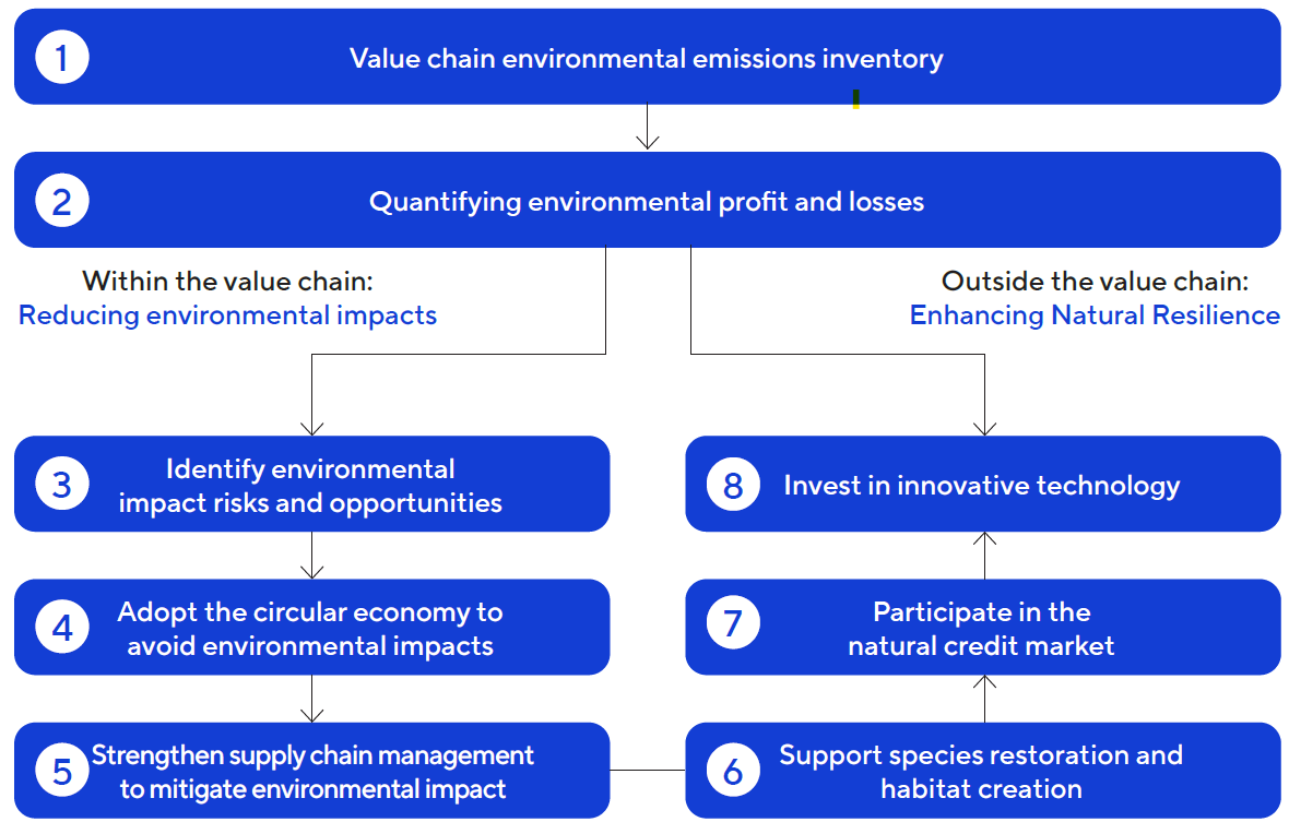 Natural Capital Strategy Map